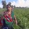 AOLIC_SSIAST_SHOBHA PAKHALE